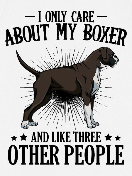 boxer
