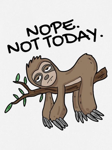 Sloth Nope not today