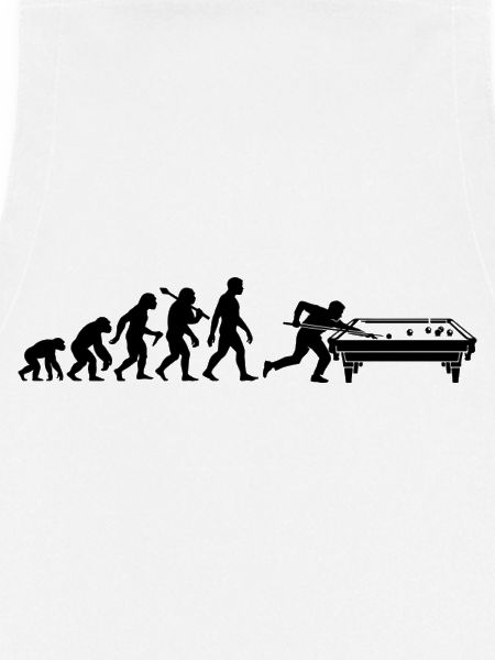 Billiard Evolution Billiardtisch Billiardspieler