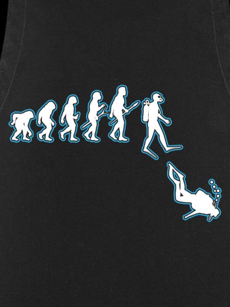 Taucher Evolution