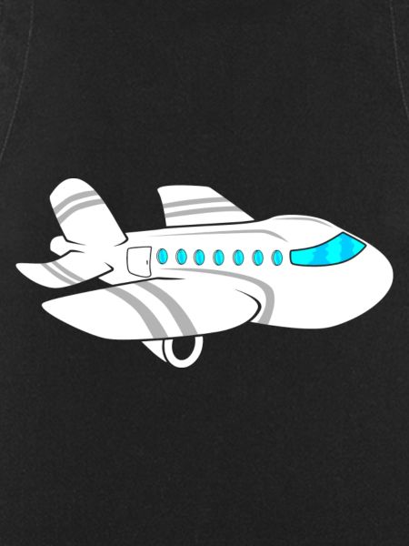 Flugzeug