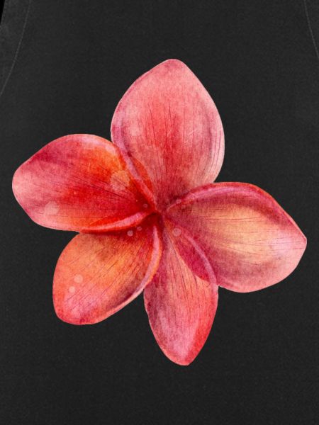 Blume rot