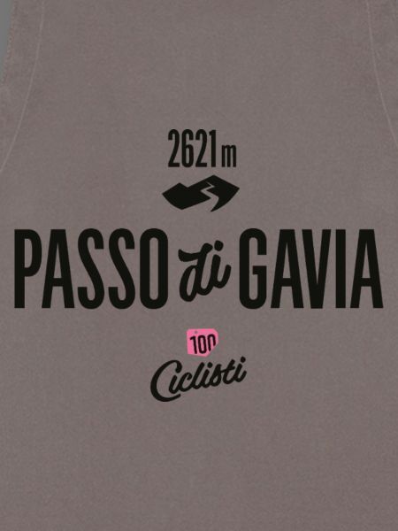 Gavia Pass