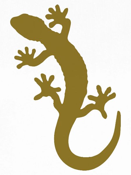 gecko