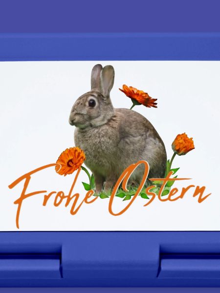 Frohe Ostern Osterhase