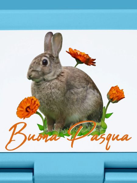 buona pasqua