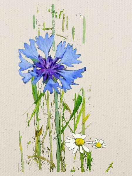 Kornblumen und Gänseblümchen Muster