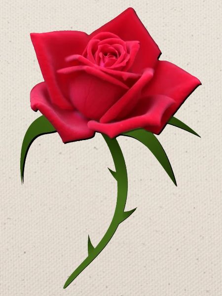 Rose rote Rose rote Rosen