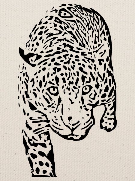 leopard schwarz schwarzer Leopard