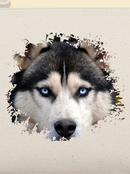 Husky