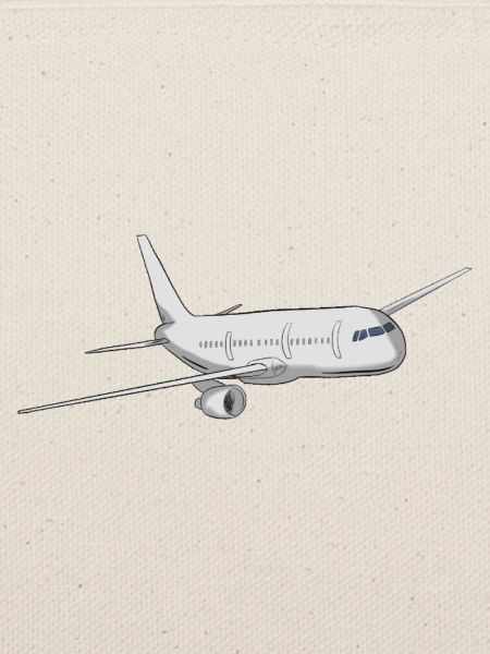 Flugzeug