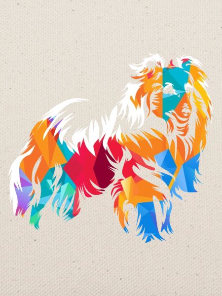 Lebhafter Shetland Hütehundfreund