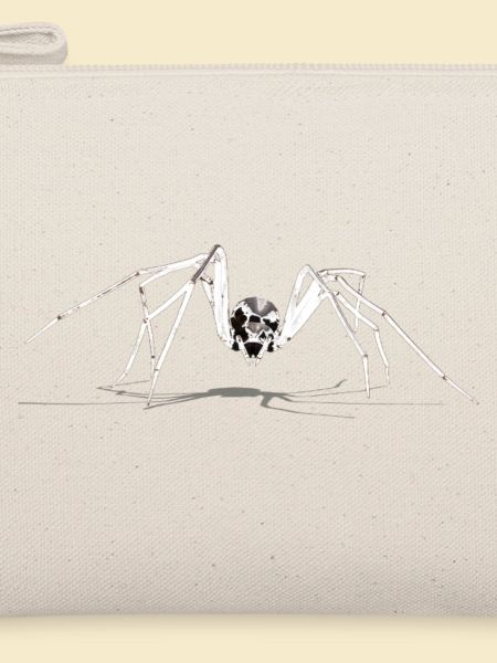 spinne ,spider, kreuzspinne,