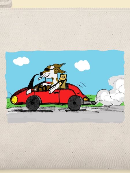 rennfahrer