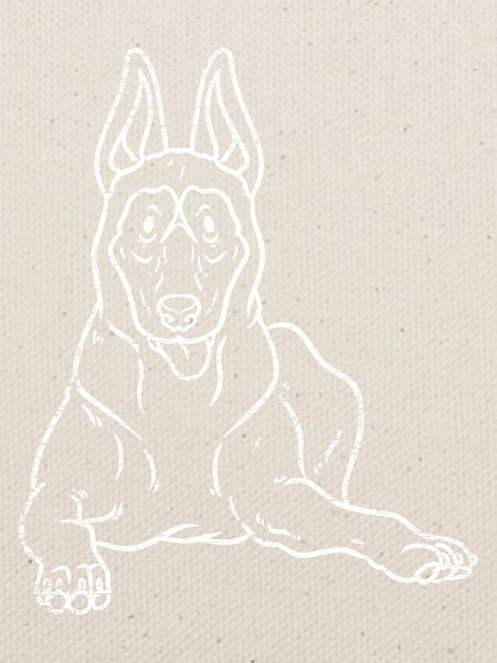 Wachsamer Malinois Gebrauchshund