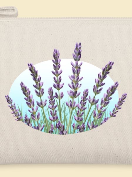 Lavendel Lavendelhalme Lavendelfeld