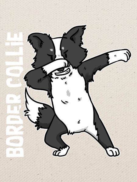 Pfiffiger Border Collie Schafhüter