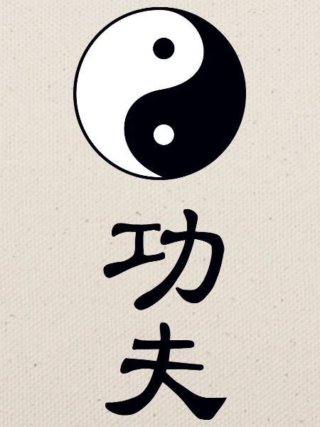 tao kung fu