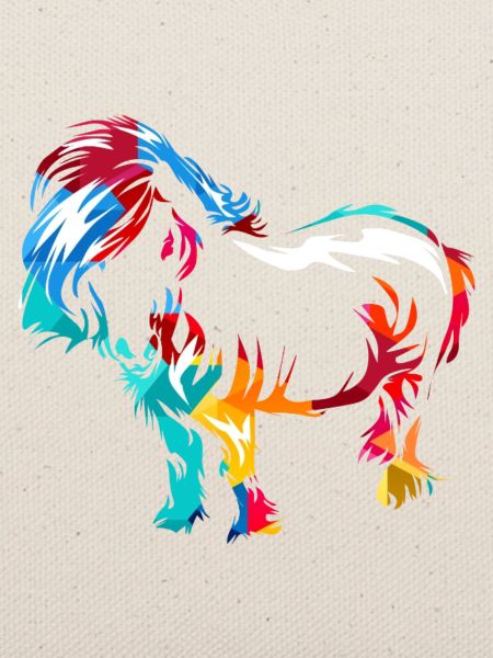 Robustes Shetlandpony Reitstallfreund