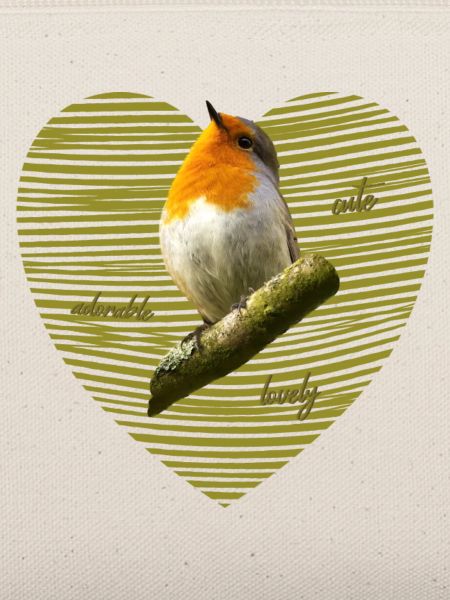 Rotkehlchen Singvogel