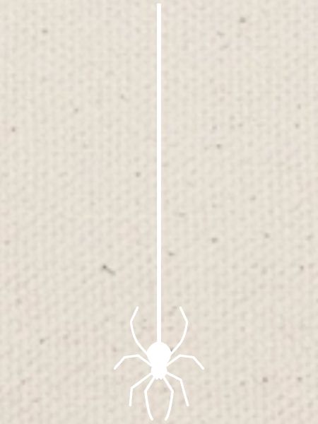 Spinne Am Faden