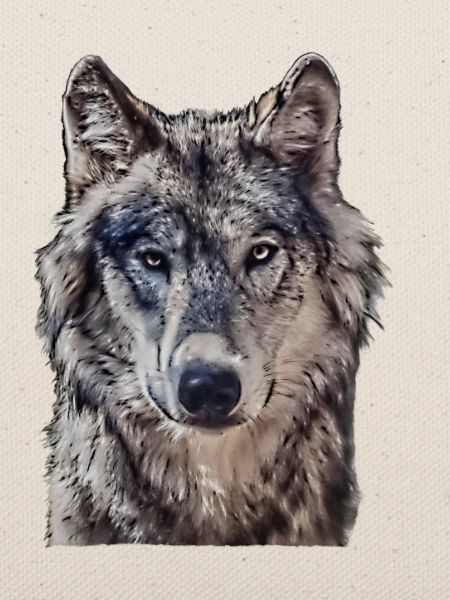 Wolfkopf von vorne