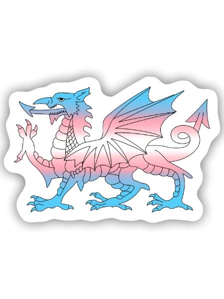 Pays de Galles Trans Flag, Baner Trans Cymru, Transgenre - Sticker taille S (10 x 10 cm) - blanc mat - Devant