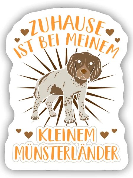 Kleiner Münsterländer - Sticker Größe S (10 x 10 cm) - Mattweiß - Vorne