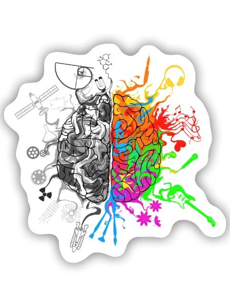 Gehirnhälften - Logik und Kreativität - Sticker Größe S (10 x 10 cm) - Mattweiß - Vorne
