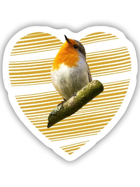 Rotkehlchen Singvogel süßer Vogel - Sticker Größe S (10 x 10 cm) - Mattweiß - Vorne