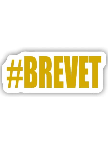 FERRY. BACCALAUREAT. PATENT. DNB. EXAMINATION. WELL DONE - Sticker size S (10 x 10 cm) - white matte - Front