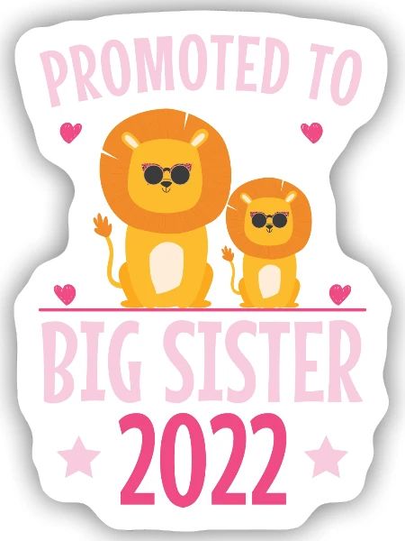 Befördert Zur Großen Schwester 2022 - Sticker Größe S (10 x 10 cm) - Mattweiß - Vorne