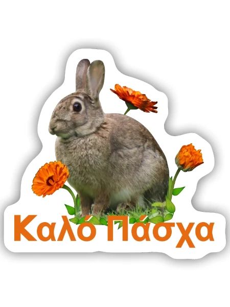 καλό Πάσχα Frohe Ostern - Sticker Größe S (10 x 10 cm) - Mattweiß - Vorne