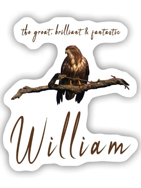 William Willi Geburtstag William - Sticker Größe S (10 x 10 cm) - Mattweiß - Vorne