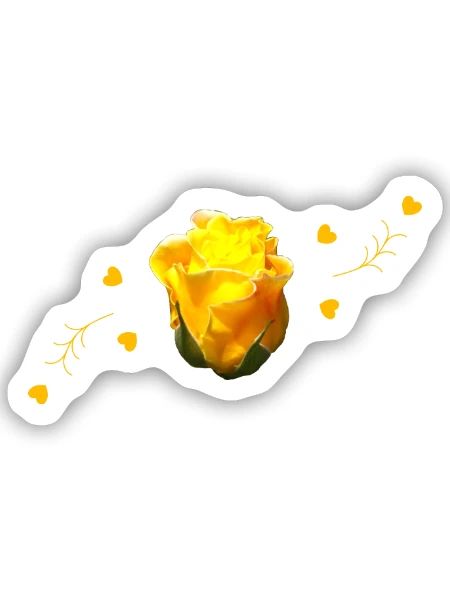 rose yellow rose - Sticker Größe S (10 x 10 cm) - Mattweiß - Vorne