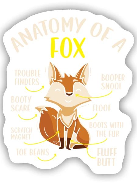 Anatomie eines Fuchses Wildlife Tier Füchse Füchse - Sticker Größe S (10 x 10 cm) - Mattweiß - Vorne