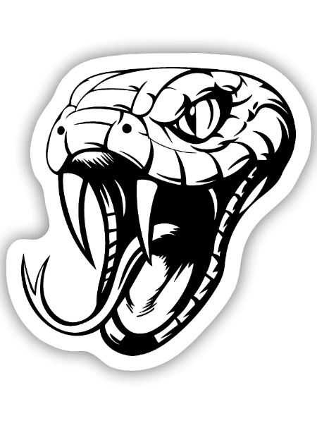 Snake - Sticker Größe S (10 x 10 cm) - Mattweiß - Vorne