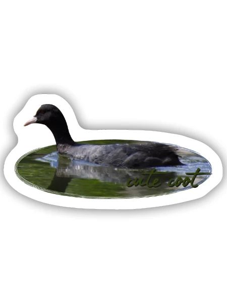 Blässhuhn Wasservogel Vogel - Sticker Größe S (10 x 10 cm) - Mattweiß - Vorne