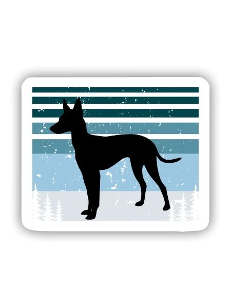 Cirneco Dell Etna Dog Love Silhouette Retro Sonnenuntergang - Sticker Größe S (10 x 10 cm) - Mattweiß - Vorne