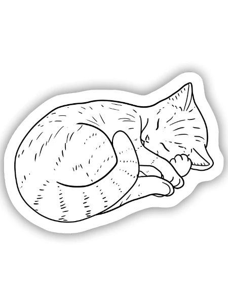 Katze Zeichnung - Sticker Größe S (10 x 10 cm) - Mattweiß - Vorne