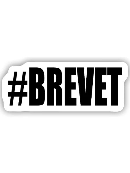 FERRY. BACCALAUREAT. PATENT. DNB. EXAMINATION. WELL DONE - Sticker size S (10 x 10 cm) - white matte - Front
