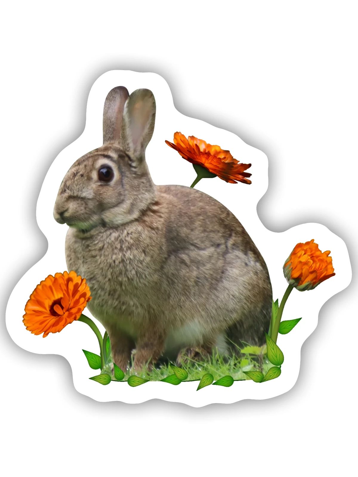 Hase Osterhase Ringelblume - Sticker Größe S (10 x 10 cm) - Mattweiß - Vorne