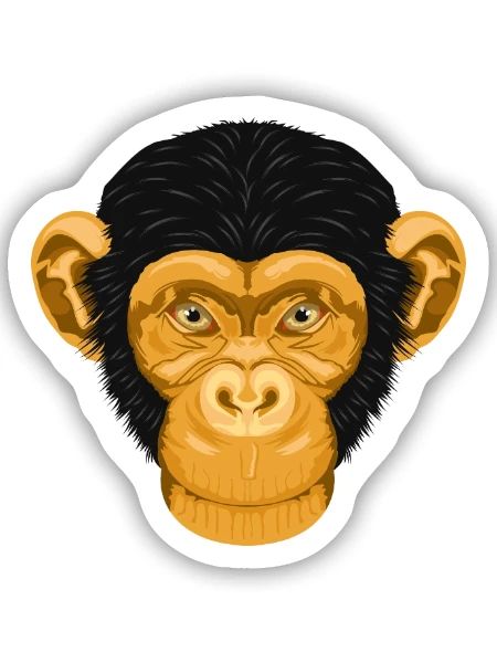 Affe Schimpanse - Goldener Tierkopf ohne Text - Sticker Größe S (10 x 10 cm) - Mattweiß - Vorne