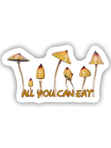 Champignons magiques Zauberpilze Psylos Pilze Party Fun - Sticker taille S (10 x 10 cm) - blanc mat - Devant