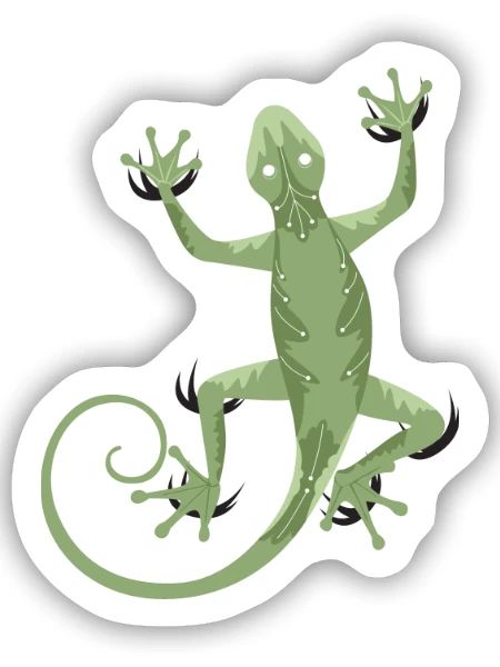 Gecko kletternd - Grüne Echse Illustration - Sticker Größe S (10 x 10 cm) - Mattweiß - Vorne