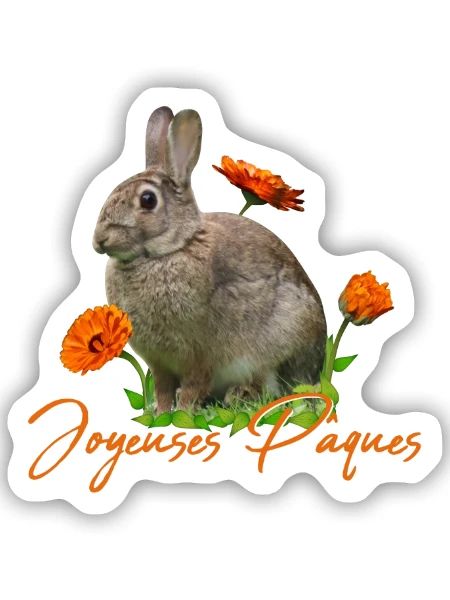 Joyeuses Paques Frohe Ostern - Sticker Größe S (10 x 10 cm) - Mattweiß - Vorne