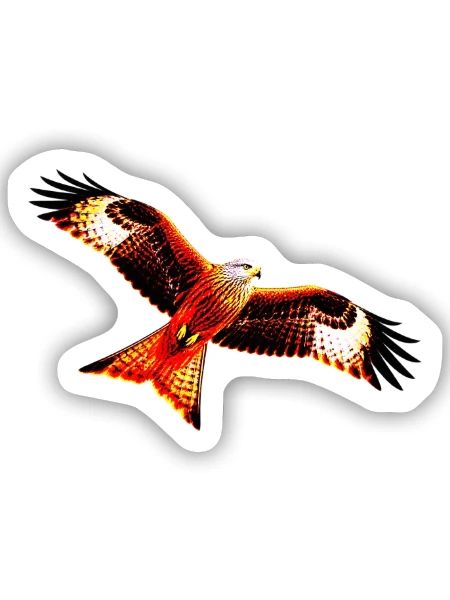 Roter Milan im Flug - Sticker Größe S (10 x 10 cm) - Mattweiß - Vorne