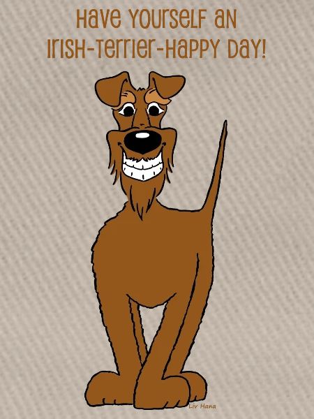 Irischer Terrier Smile