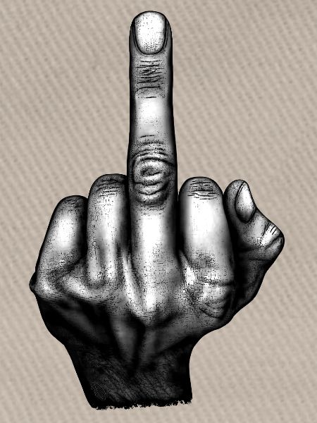 Flip the Bird