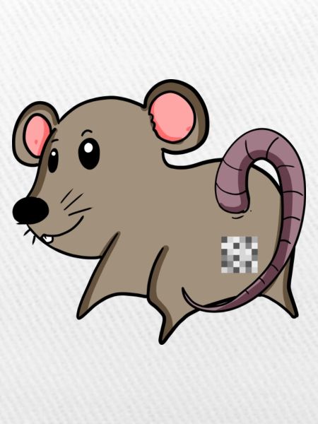 Maus Arsch - Maus Hintern